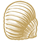 pistachio_di_Bronteイラスト